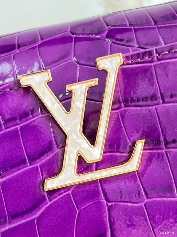 BB VUITTON CAPUCINES LOUIS 0728